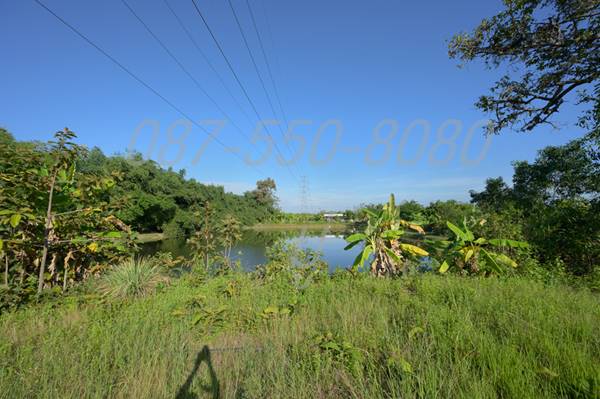 ขายด่วน! ที่ดินแแปลงสวย ราคาถูก อำเภอเมืองสุรินทร์ เหมาะทำจัดสรรที่ดิน หรือหมู่บ้านจัดสรร